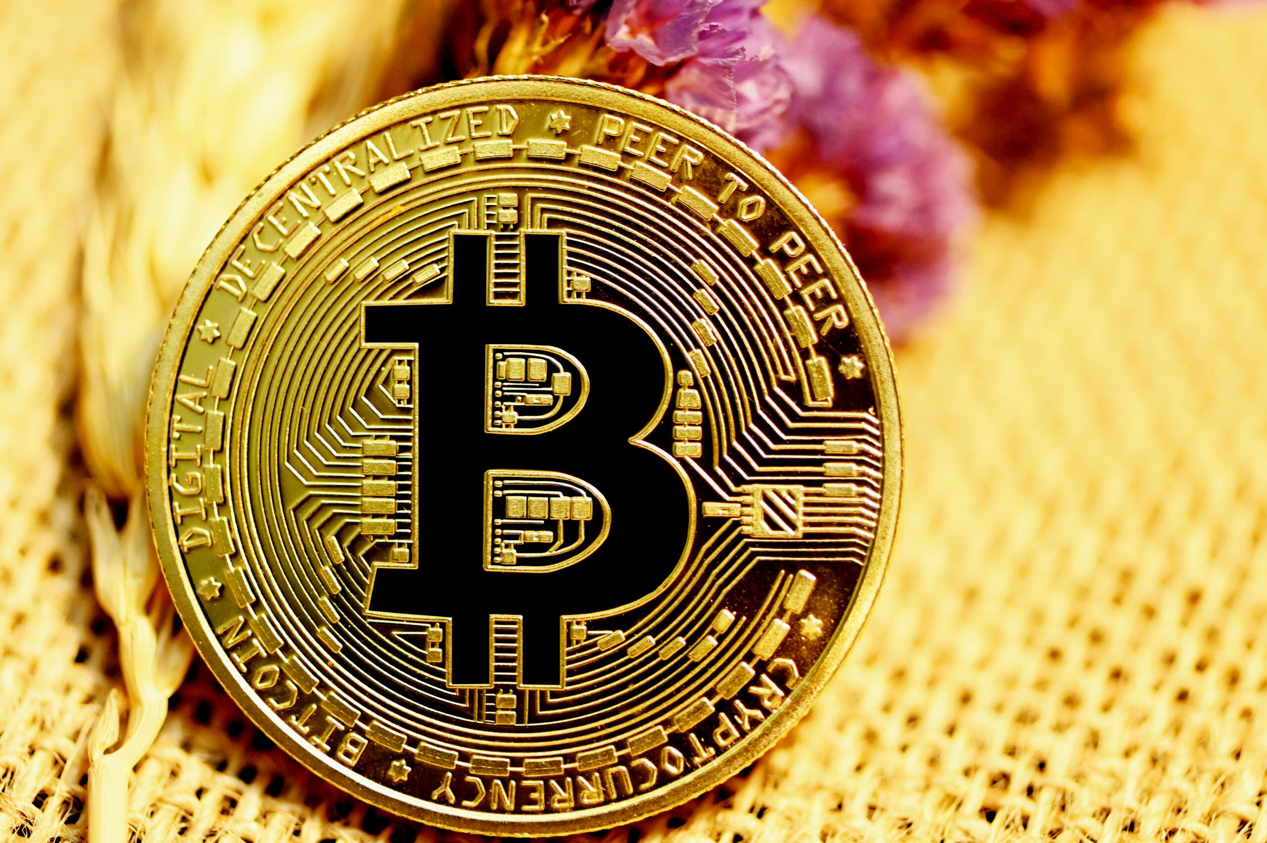 Bitcoin for financial advisors